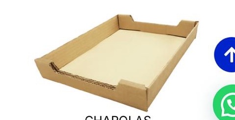 Charolas de cartón